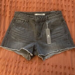 Tractr Women's Black Denim Shorts